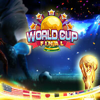world cup final